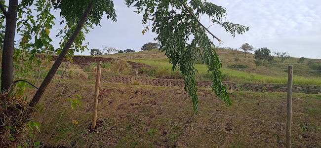 Comentarii opinii despre Pesqueiro Bonilha