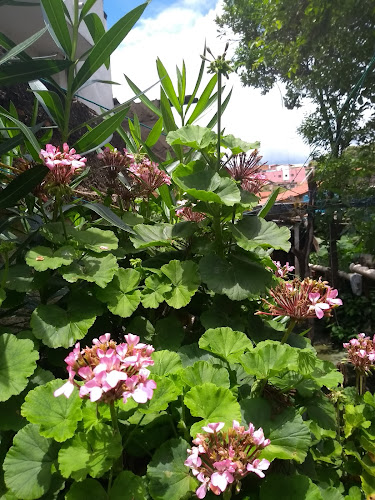 Opinii despre Horta do Papai în Santa Luzia - Gastronomia e hotelaria