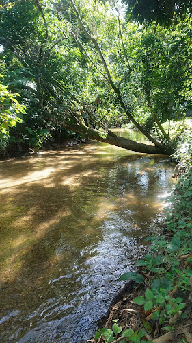 Estr. Boa Esperanca, 714 - Tinguá, Nova Iguaçu - RJ, 26063-450
