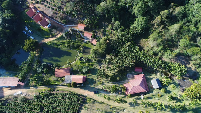 Opinii despre sítio Recanto das àguas în Domingos Martins - Gastronomia e hotelaria