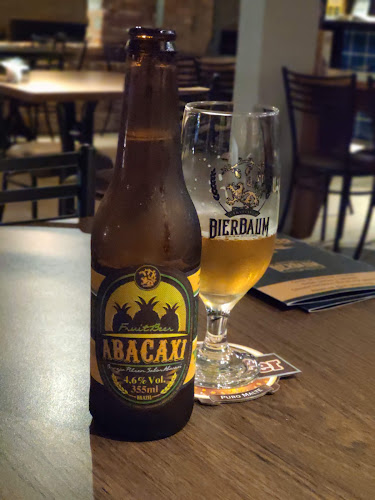 Alameda Aristiliano Ramos, 1220 - Santana, Rio do Sul - SC, 89160-000