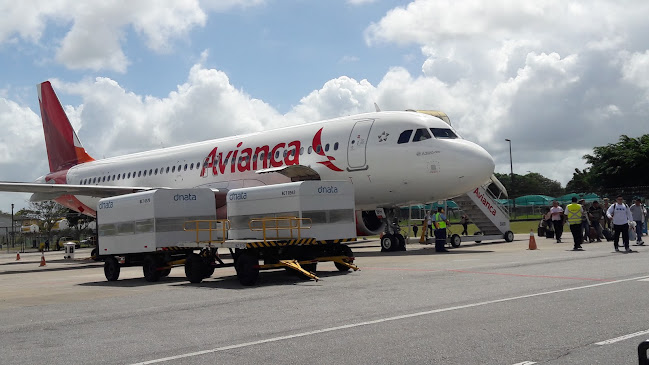 Av. Antenor Pimentel, 1496 - Morrinhos, Guarujá - SP, 11495-000, Brasil