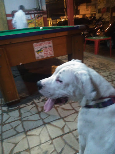 R. Araraquara, 274 - Vila Sao Leopoldo, São Bernardo do Campo - SP, 09892-100, Brasil