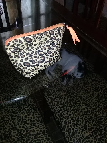 Opinii despre Rancho Dois Irmao în São Gonçalo dos Campos - Gastronomia e hotelaria