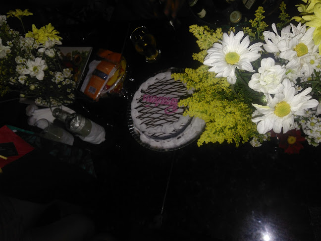 Camaleão Bar - Recife