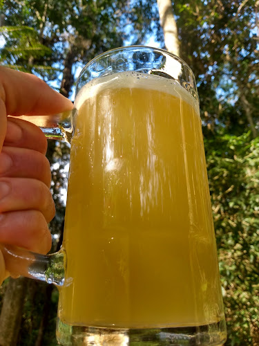 Opinii despre Selva Bar în São Paulo - Gastronomia e hotelaria