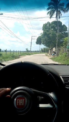 Rancho Do Sapê - Gastronomia e hotelaria