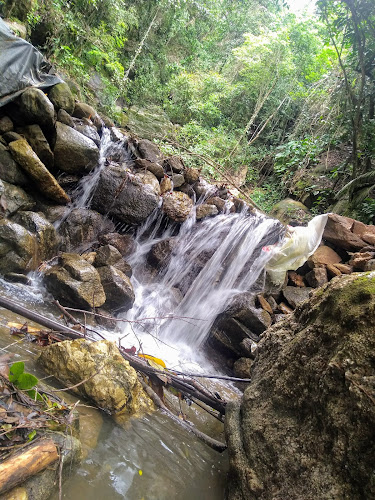 Comentarii opinii despre Cachoeira E Bar