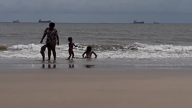 Comentarii opinii despre Carnaubar