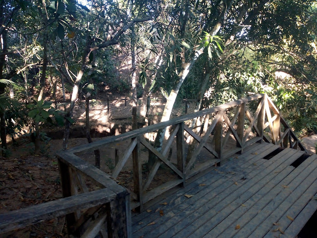 Comentarii opinii despre Passarela de acesso ao Rio Jamari