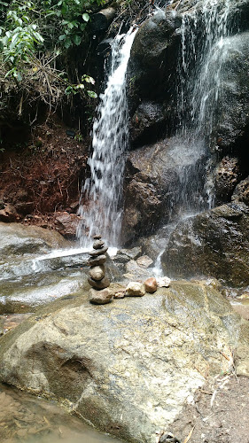 Cachoeira E Bar - Gastronomia e hotelaria