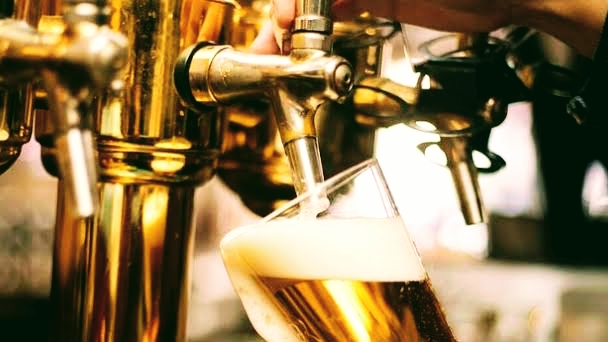 Opinii despre Canal do Chopp în Bertioga - Gastronomia e hotelaria