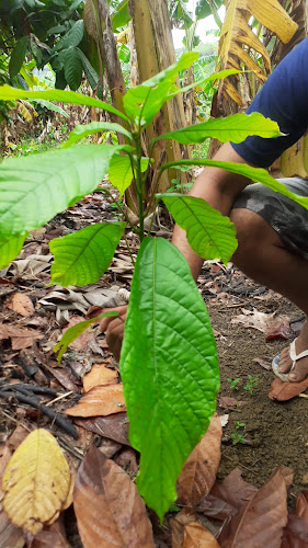 Opinii despre Restaurante nossa casa BR101 KM308 în Valença - Gastronomia e hotelaria