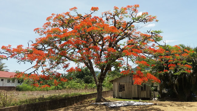 Deck R - Gastronomia e hotelaria