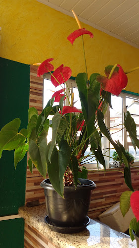 Restaurante Mida's - São José dos Pinhais