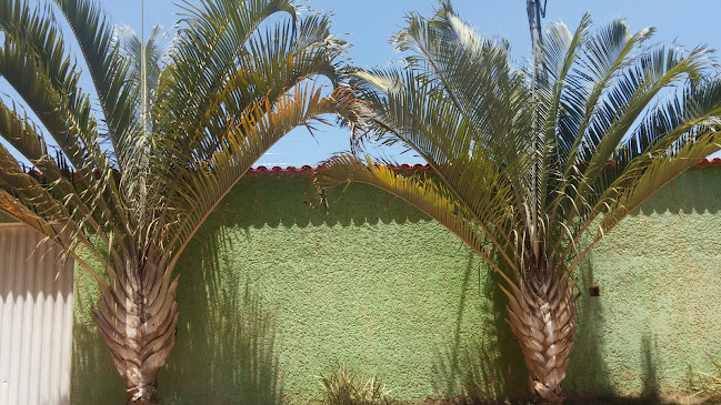 Comentarii opinii despre Lumas eventos