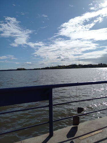 Opinii despre Peter's Bar în São Jerônimo - Gastronomia e hotelaria