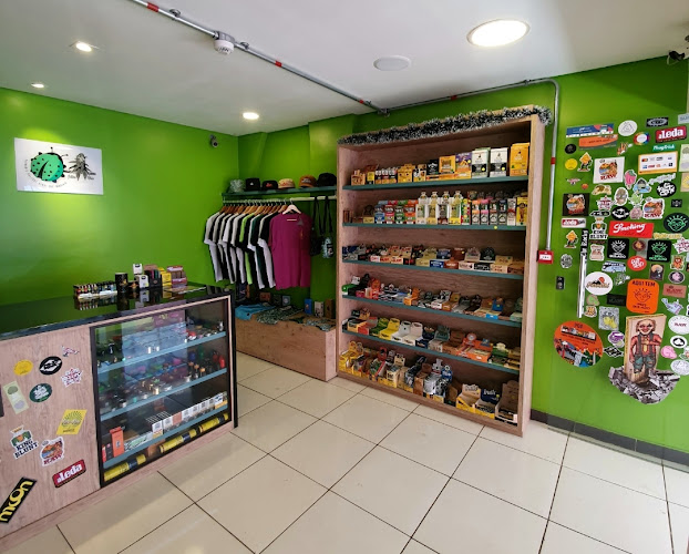 Cultura Verde headshop - Gastronomia e hotelaria