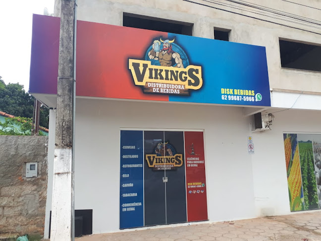 Distribuidora Vikings - Posse