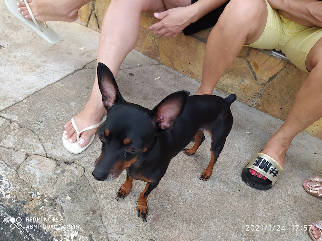 Tenda Árabe - Gastronomia e hotelaria