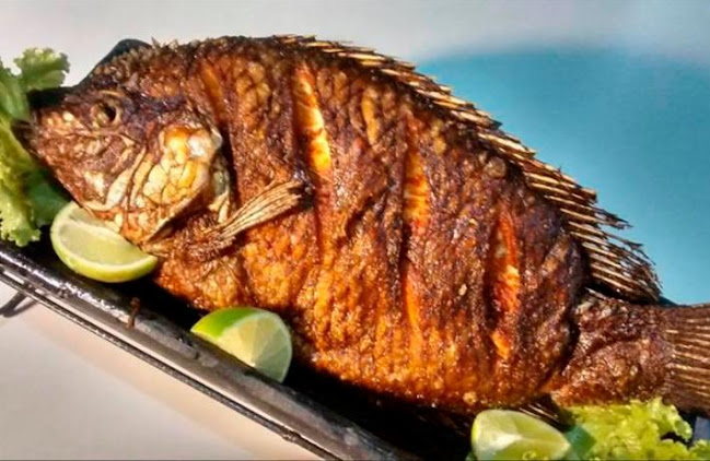 Status Bar - Araripina