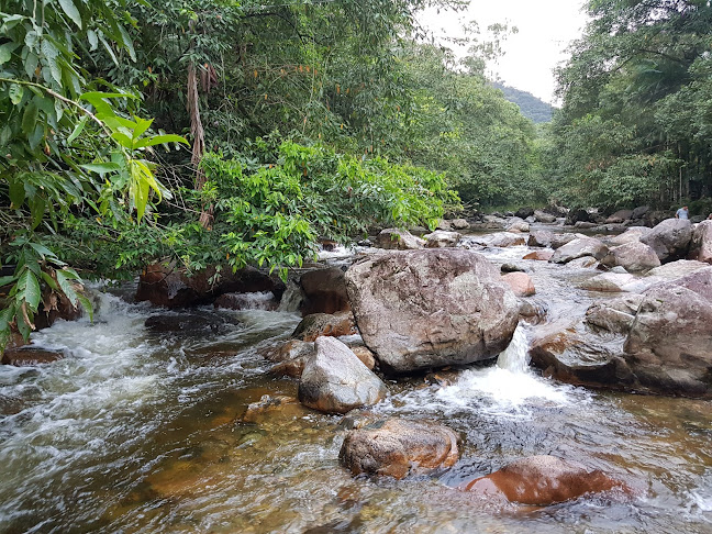 Restaurante Tia Marta - Garuva