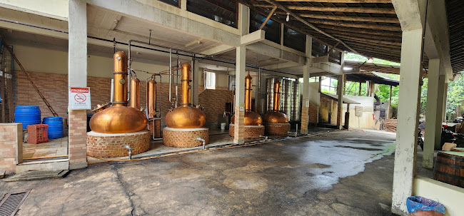 Cachaça Pionti - Nova Venécia