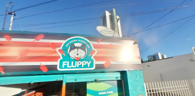 Fluppy Sorvetes Especiais
