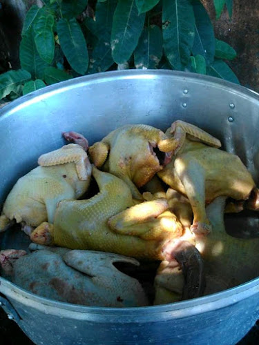 Restaurante Panela quente