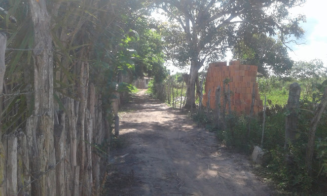 Restaurante da Mônica - Esplanada