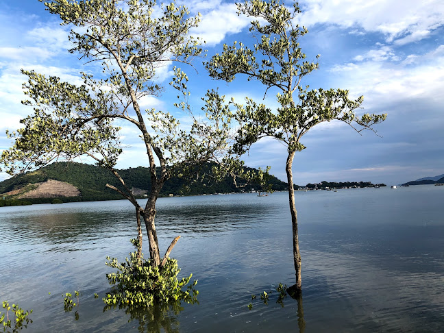 Bar Recanto Da Zuleide - Itaguaí