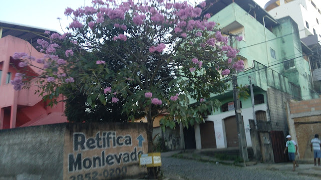 Comentarii opinii despre Pizzaria To No Cleber