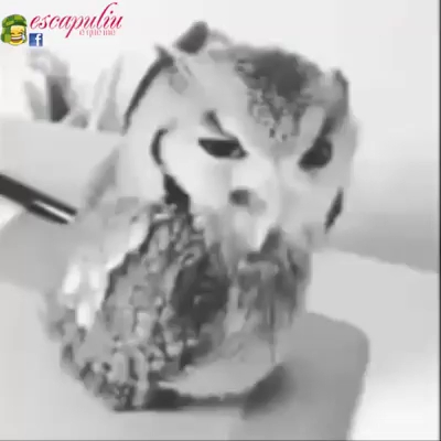 Comentarii opinii despre Panificadora JB