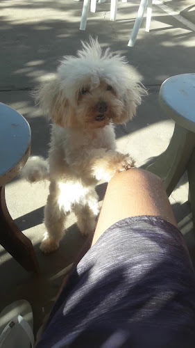 Opinii despre casa de Geraldo în São Francisco de Itabapoana - Gastronomia e hotelaria