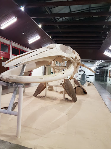 Comentarii opinii despre Fruteira Santa Luzia