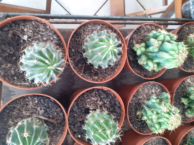 To chegando bar e restaurante - Volta Redonda