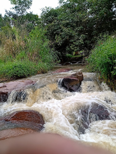 Bar do Nego - Encanto das águas - Gastronomia e hotelaria