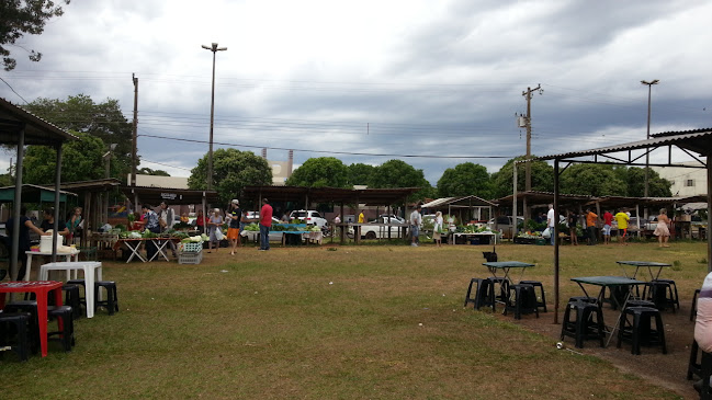 Opinii despre Barraca do Adão - Feira da Lua în Três Lagoas - Gastronomia e hotelaria