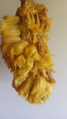 Hamburgueria e Petiscaria do Thallys