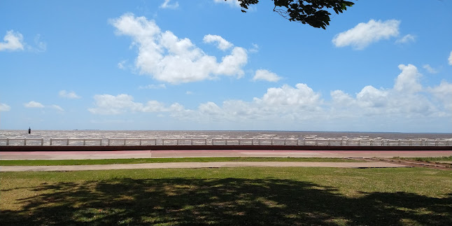 Restaurante e Peixaria Bahama's - Gastronomia e hotelaria