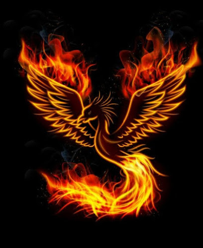 OREST'S LANCHES E PIZZAS - Gastronomia e hotelaria