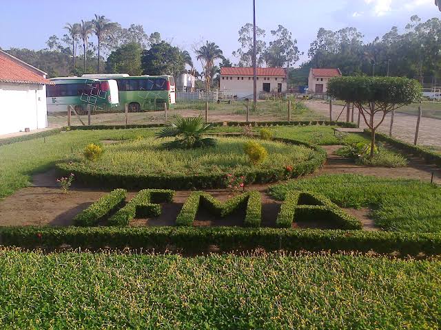 Comentarii opinii despre Pizzaria Nordestina