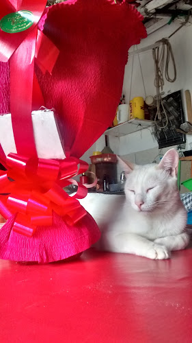 R. Floriano Machado - Parque Sao Jorge, Franca - SP, 14405-167, Brasil