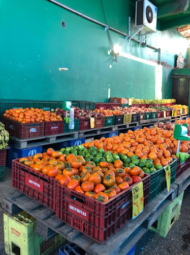 R. Dr. Hans Varelmann - Timbaúva, Montenegro - RS, 92524-675, Brasil