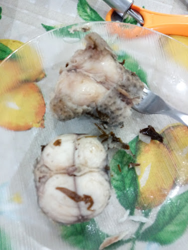 Comentarii opinii despre Bar do João Sabiá