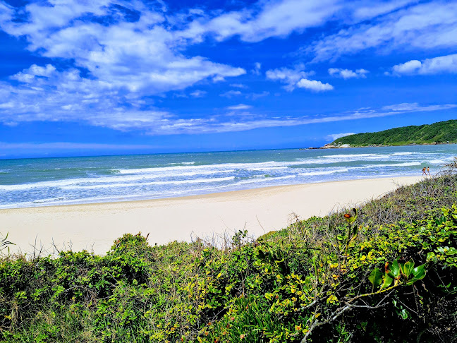 Restaurante Coral - Gastronomia e hotelaria