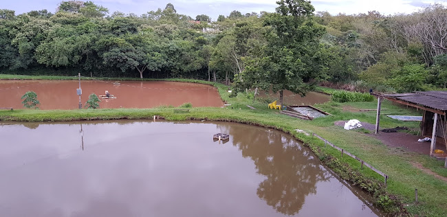 Opinii despre Pesque pague do moa. în Palotina - Gastronomia e hotelaria