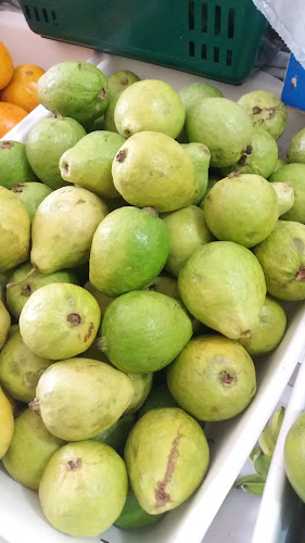 Kitanda Cheiro Verde - Jacobina