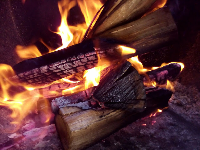 Comentarii opinii despre Hamburgueria Desgarrado