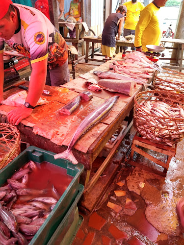 Mercado de Peixe - Gastronomia e hotelaria